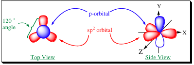 sp2 orbitals